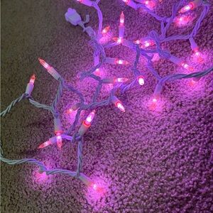 Pink String Lights